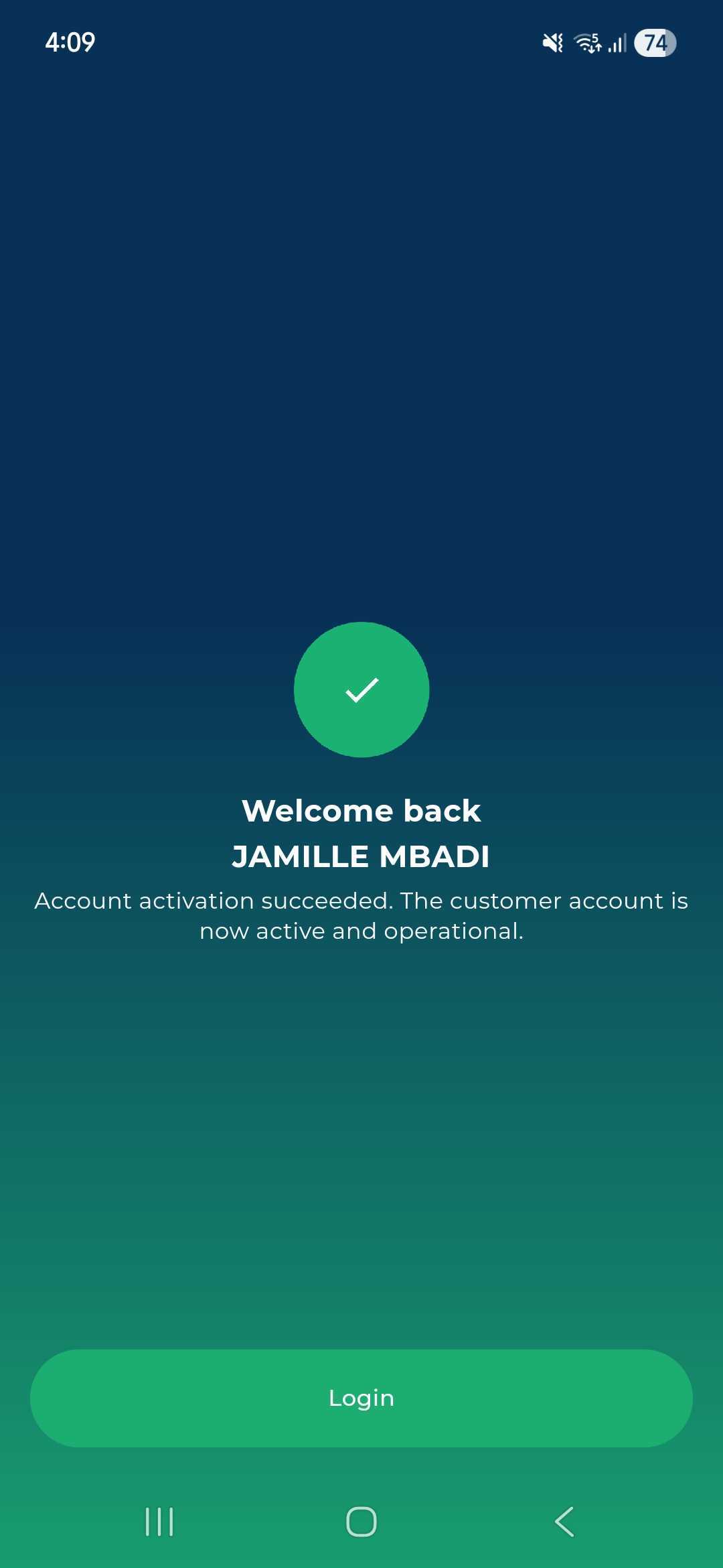 Receive Funds Instantly screen